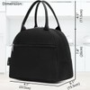 FlowFly Lunch Bag Tote Bag Lunch Organizer Lunch Holder Insulated