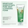 Anua Espuma Facial Heartleaf Quercetinol Purificante 150ml