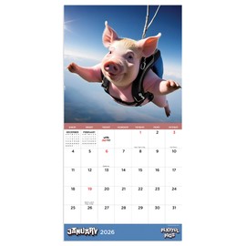 2026 Playful Pigs Mini Calendar