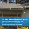 Bird Barrier The Intimidator - Professional Grade Bird Deterrent w/Wind-Twisting