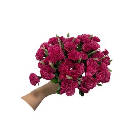 Rikyo 4 Bunches Bouquet of Artificial Silk Flower Carnations,12" Bouquet and Leaf for Home Party,Bridal Wedding Holding Flowers Festival Decoration with 10 Per Bunch Flower(Violet)