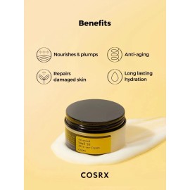 Cosrx Advanced Snail All One Cream 100ml