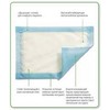 Mesorb Dressing 15cm x 20cm (x10)