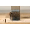 T-Rex Ripper Staple & Nail Extractor, Tempered Spring Steel, Multi