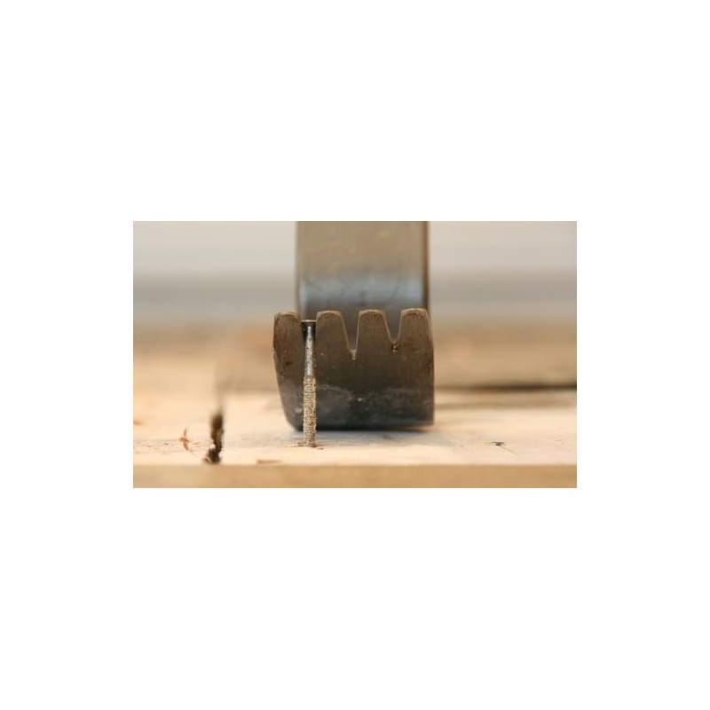 T-Rex Ripper Staple & Nail Extractor, Tempered Spring Steel, Multi