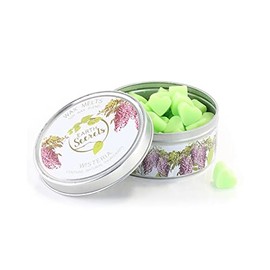 ASHLEIGH & BURWOOD Melts, Soya Wax Blend, One Size