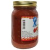 Traverse Bay Farms Nationally Award-Winning Salsa (Red Raspberry, 1 Jar)