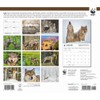 Carousel Calendars, Wolves WWF 2026 Wall Calendar, 12.01'' X 14.09'',