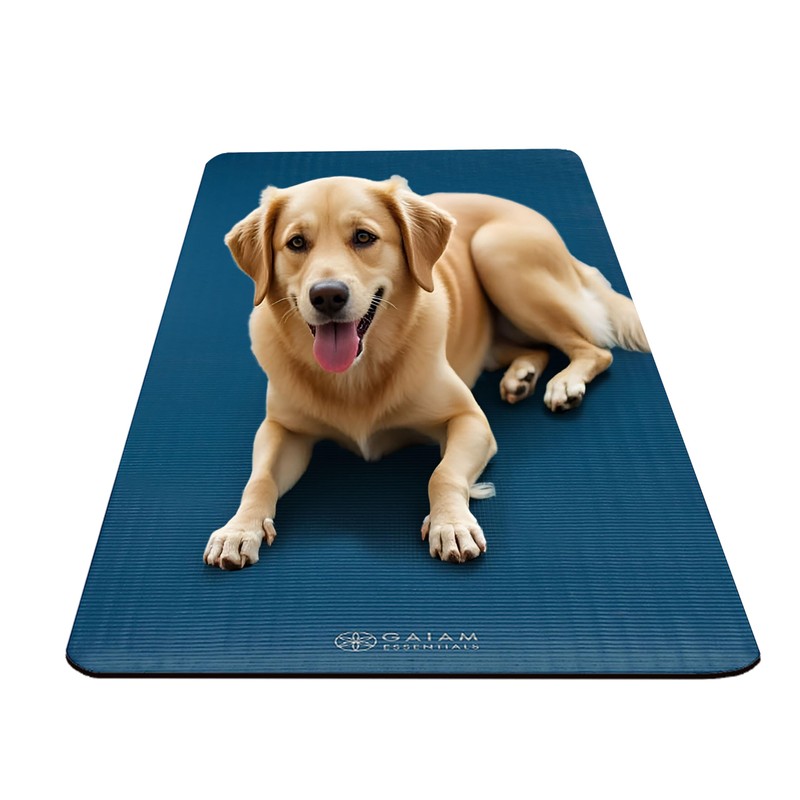 Gaiam Essentials Thick Yoga Mat Fitness & Exercise Mat with