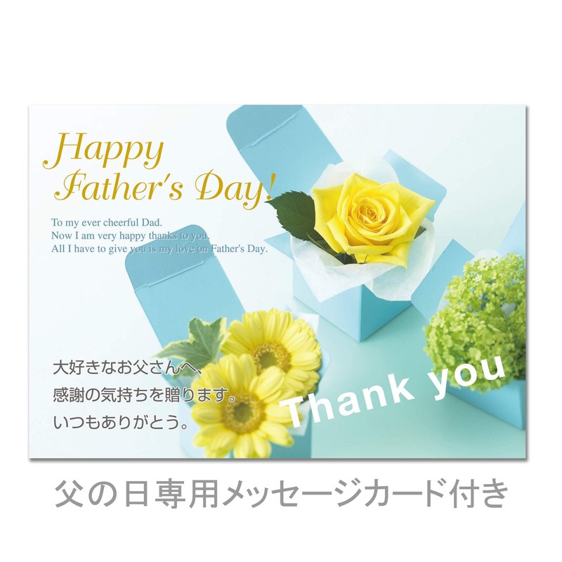 Fine Choice Moonstone Wrapping Paper: Regaro (Fine Choice, Father's Day