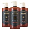 Kerashine 케라시스 프로폴리스 데미지 리페어 트리트먼트, 1L, 3개 Kerasis Propolis Damage Repair Treatment, 1L, 3 Pieces