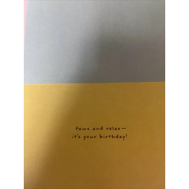 american greetings Puppy And Kitten Birthday Spa Day Card Retail Price 3.29