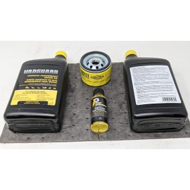 Briggs & Stratton 15W-50 (2 Quarts) Full Synthetic Vanguard 810cc Engine Oil Change Kit with Fuel Treatment