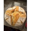 ZOURDOUGH SOURDOUGH The Apostle sourdough starter yeast New Release for