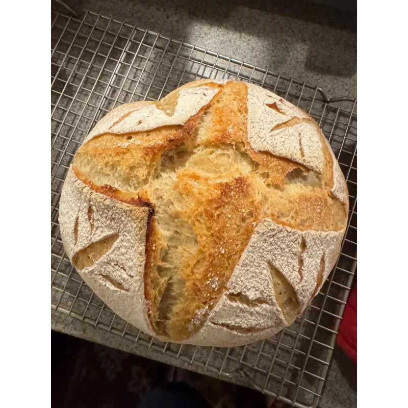 ZOURDOUGH SOURDOUGH The Apostle sourdough starter yeast New Release for