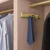 15-Hook Designer Wardrobe Reversible Closet Belt Rack with 11.22 Inch