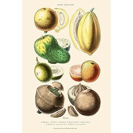 BuyEnLarge Fruits and Nuts. Mammee, Pawpaw, Soursop, Negro Peach, Granadilla, Brazil Nut, Zabucajo (12x18 Paper Poster)
