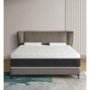 elitspace Queen Size Mattresses,Memory Foam Hybrid Mattress in a Box,10
