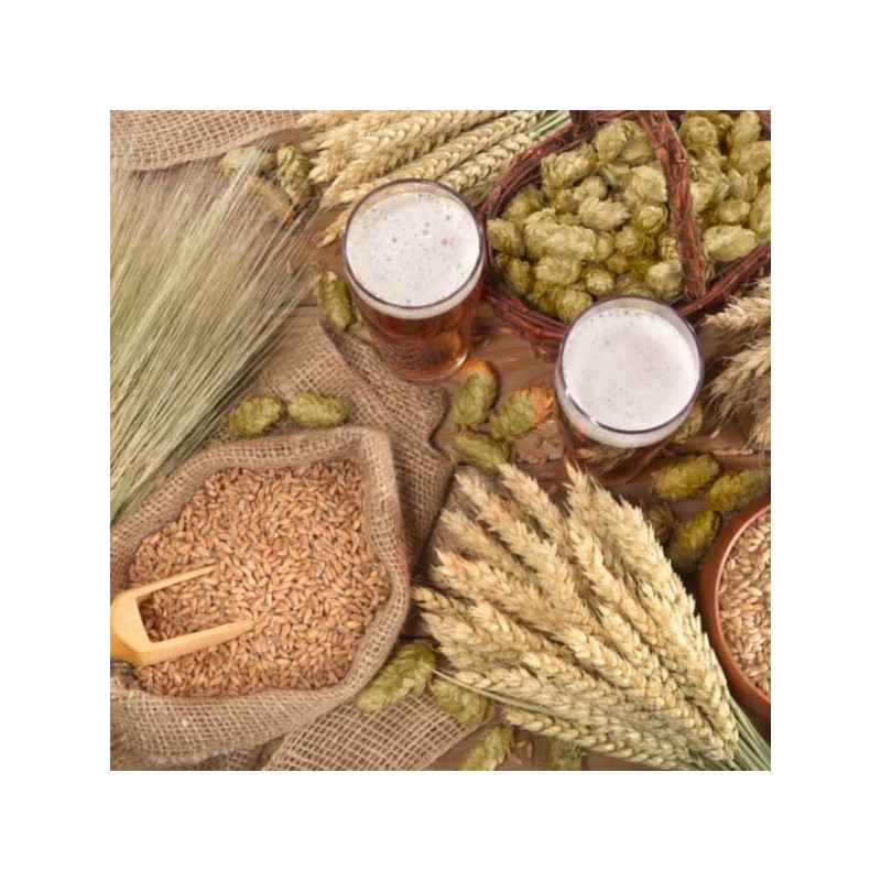 Bewell Brewer's Yeast Biotin Gold Care Dried Brewer's Yeast Pills
