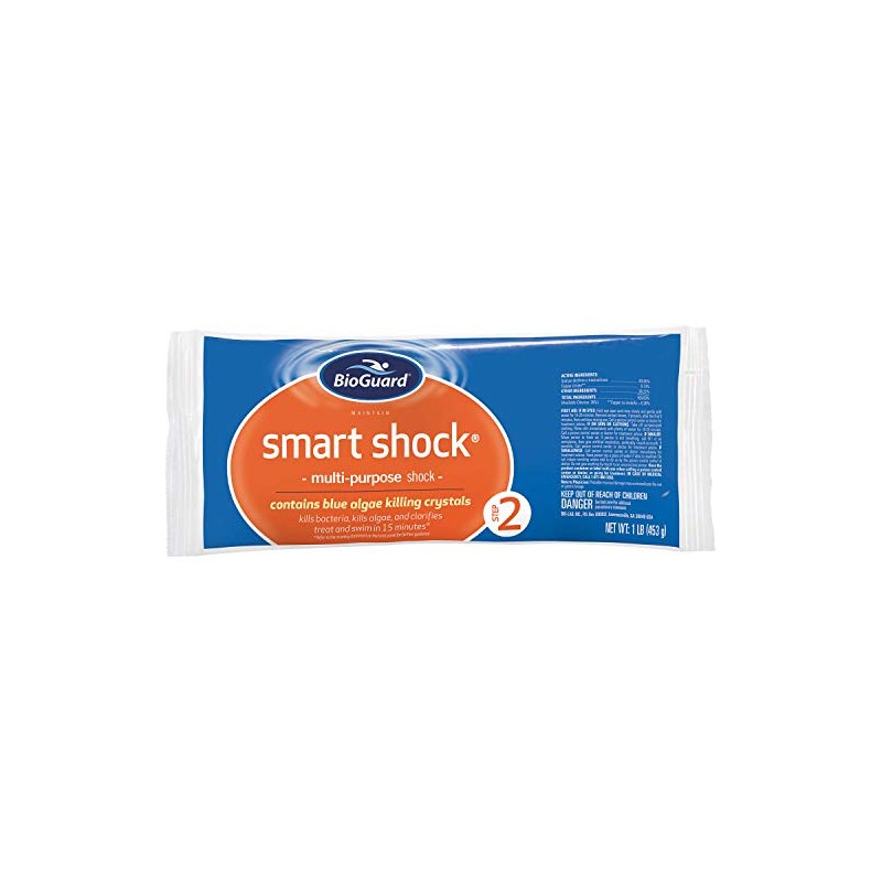 BioGuard Smart Shock 1 lb, Pack of 12, Algae Preventative,