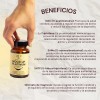 Nootrópico Platinum Para Humor Con Metil Folato Homodeus Sabor Sin