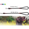 BTINESFUL Short Dog Leash- 18, 24 Inch Strong Nylon Training