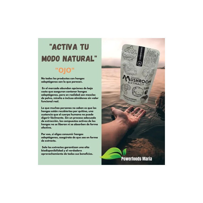 Hongo Adaptógeno, Extracto Puro 100% Soluble 100g.