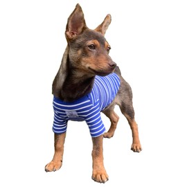 YQYS Pet T-Shirts Thick Striped Cotton Tee Shirt for Small Dogs and Cats Puppy Clothes Apparel Clothing for Teacup Chihuahua Yorkie Poodle Blue White Medium