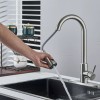Brushed Nickel Basin Pull Out Spary Kitchen Sink Faucet Soap