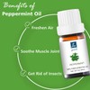 GM Gumili Peppermint Essential Oil - 100% Pure Aromatherapy Oil