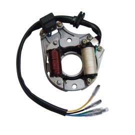 shamofeng 2 Coil Stator Ignition Magneto Plate for 50cc 70cc 90cc 110cc 125cc Chinese ATV Quad Dirt Bike Taotao Sunl JCL