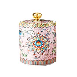 Bicuzat Enamel Ceramic Tea Caddy Tea Canister Tea Storage Container Tins Jar with Airtight Lid Water-proof Tank for Tea, Coffee, Herb, Sugar, Spice, Nuts