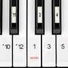 Numbered Piano Keyboard Stickers in Classic Numbers Design with 4