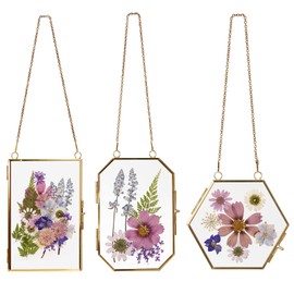 LTAXAF Pressed Flower Glass Picture Frames Hanging Frame Gold Floating Photo Frame Clear Horizontal Vertical Frames with Chain for Gallery Vintage Artwork Display (3 Sets)
