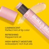 Burt's Bees Grapefruit Gloss Lip Shimmer, 0.09 OZ, 2.6 g