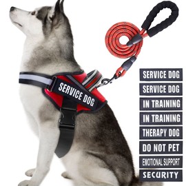Service Dog Vest Harness and Leash Set, Animire in Training Dog Harness with 10 Dog Patches, Reflective Dog Leash with Soft Padded Handle for Small, Medium, Large, and Extra-Large Dogs (RED,XL)