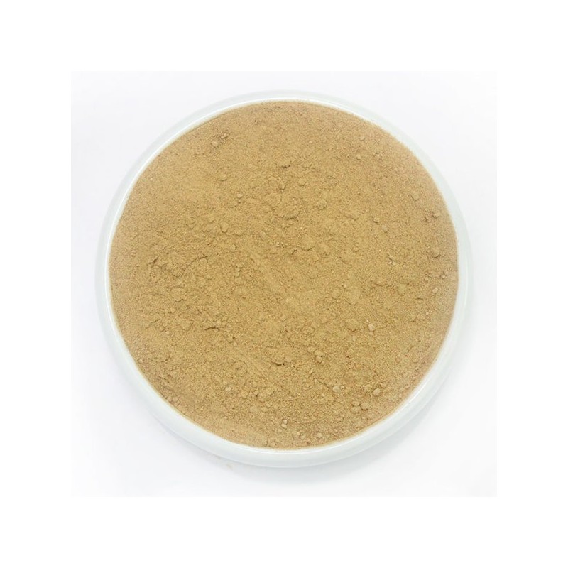핑거루트 분말 가루 70g Fingerroot Powder 70g
