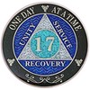 (Years 1-50) 17 Year AA Recovery Silver Color Plated Glitter