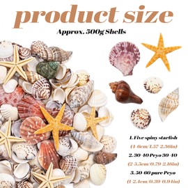 Griwuut 16 Kinds Natural Sea Shell, Mixed Ocean Shells Set