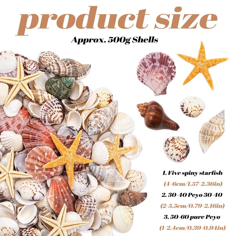 Griwuut 16 Kinds Natural Sea Shell, Mixed Ocean Shells Set