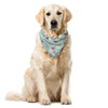 Ambesonne Ice Skates Bandana Collar, Colorful Human on Ice, 16"