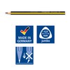 Staedtler Noris Club 119 NKP48 Jumbo Pencil, 48 Pieces in