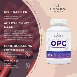 BANDINI Bandini? Traubenkernextrakt 365 Kapseln 1076mg je dosis | H?chster OPC Gehalt nach HPLC | 95% reines Traubenkern-Extrakt aus italienischen Weintrauben | 1052mg Extrakt mit 999,4mg OPC + 24mg Vitamin C