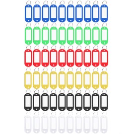 Key Tags, 60 Pcs Key Tags with Labels, Key Tag with Split Ring and Label Window for ID Tags Luggage Labels Pet Name, 6 Colors