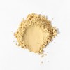 Two Son Herb 250g ginger powder / 생강분말 250g
