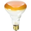 Bulbrite Incandescent BR30 Medium Screw Base (E26) Light Bulb, 75