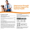 Advanced Probiotic Soft Chews for Dogs - Veterinarian-Strength Probiotic Support