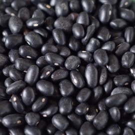 Southeast Seeds Black Turtle Bean Seeds, NON-GMO, Shelling Dry Bean, Frijoles Negros, FREE SHIP - 35 Seeds or 1/4 OZ