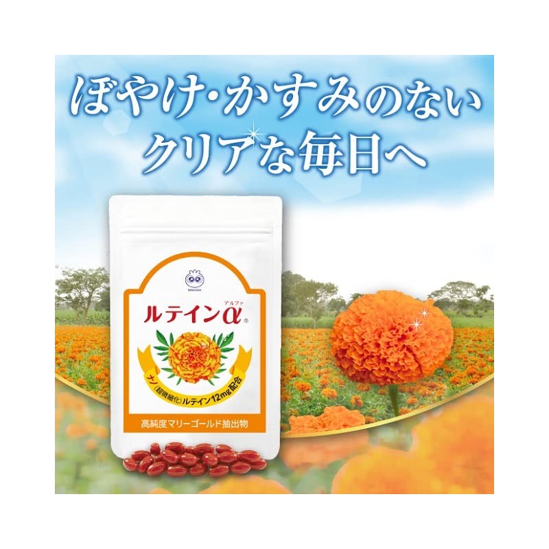 【公式】わかさ生活 ルテイン α 31粒入り（1か月分） 1日1粒 ナノルテイン 吸収量約1.5倍 ゼアキサンチン 亜鉛 トコトリエノール