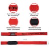 Build a Powerful Body Lifting Straps (Red)